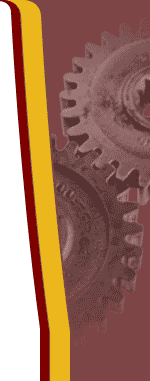 Company Information