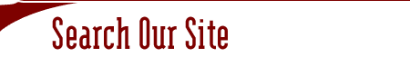 Search Our Site