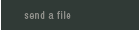 Send A File