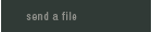 Send A File