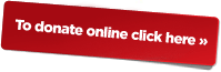 Donate online