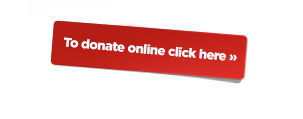 Donate online