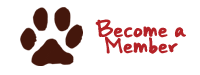 member button