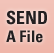 Send A File