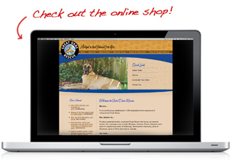 Great Dane Rescue