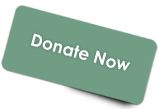 Donate Now