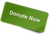 Donate Now