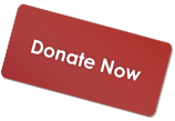 Donate Now