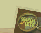 Search Our Site