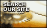 Search Our Site