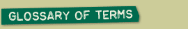 Glossary Of Terms
