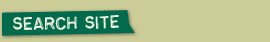 Search Our Site