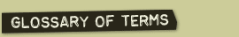 Glossary Of Terms