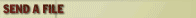 Send A File