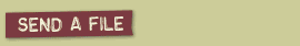 Send A File