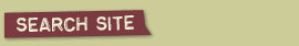 Search Our Site