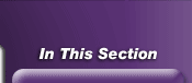 In This Section