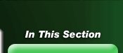 In This Section