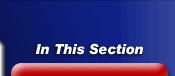 In This Section