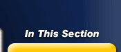 In This Section