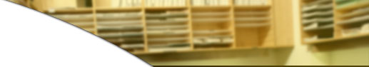 Company Information