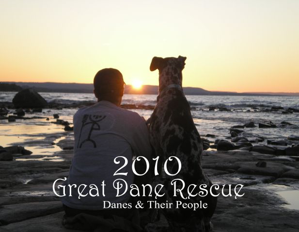 2010 Rescue Calendar $20.00