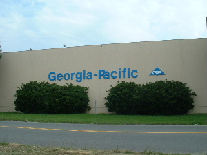 3D Letters - Georgia Pacific