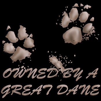 New! Owned by a Great Dane T-shirt $15.00