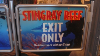 Vinyl Graphics for Kemah Boardwalk