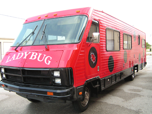 Ladybug Bus