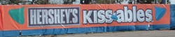 Large Format Banner