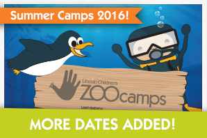 Summer Camps 2016 - More Dates