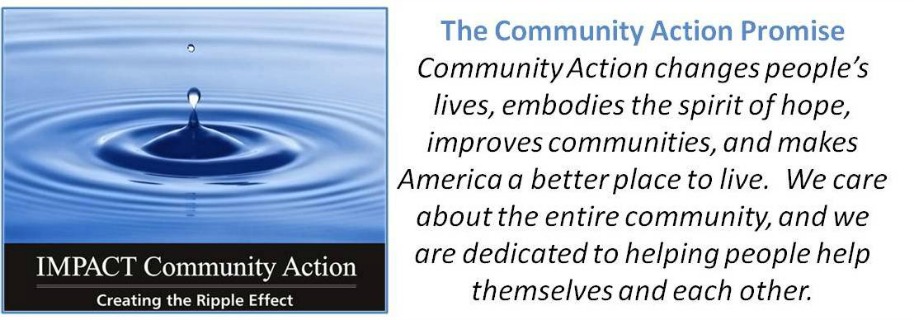 Community Action Promise