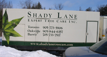 Shady Lane