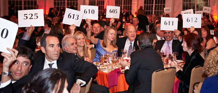 Broke Ball VOLUNTEERS- Live Auction Support
