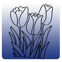 Spring fling logo
