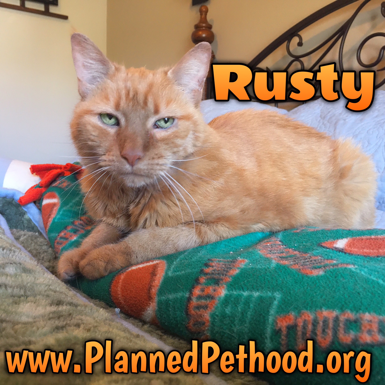 Rusty