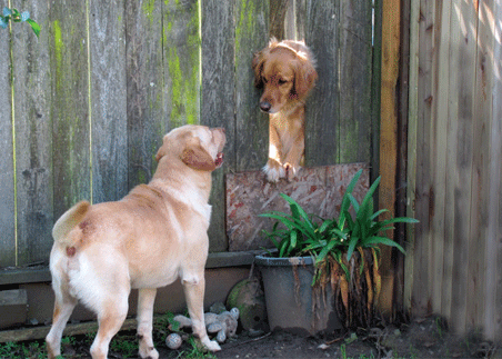 Friendship