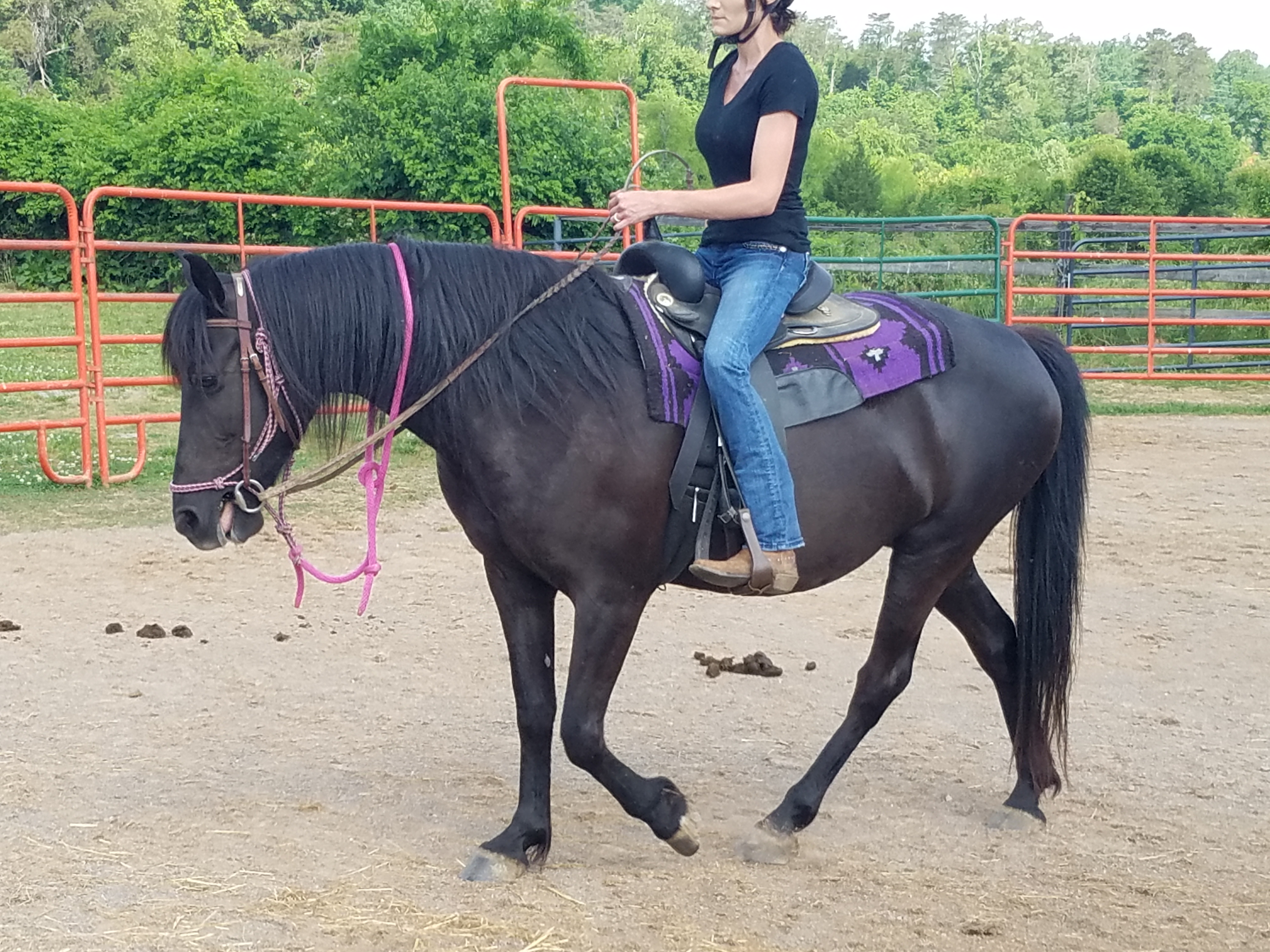 Riding Evaluations