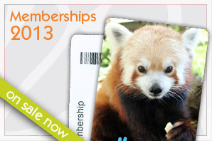 Membership