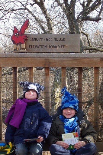 Tree house Together