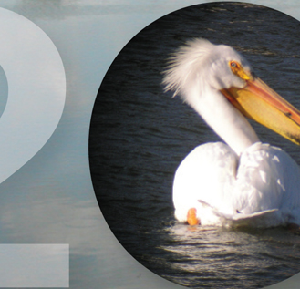 FMR Annual Report