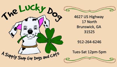 The Lucky Dog