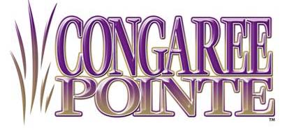 Congaree Pointe Commercial Development