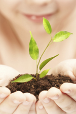 Environmental Sustainability