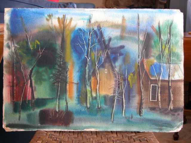 Houses in a Forest