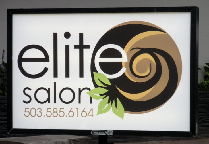 Elite Salon Illuminated Sign
