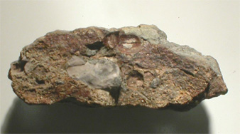 DISARTICULATED COPROLITE MICRO-FACIES FROM THE THERMOPOLIS SHALE, HOT SPRINGS COUNTY, WY