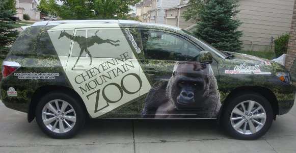 Vehicle Graphics