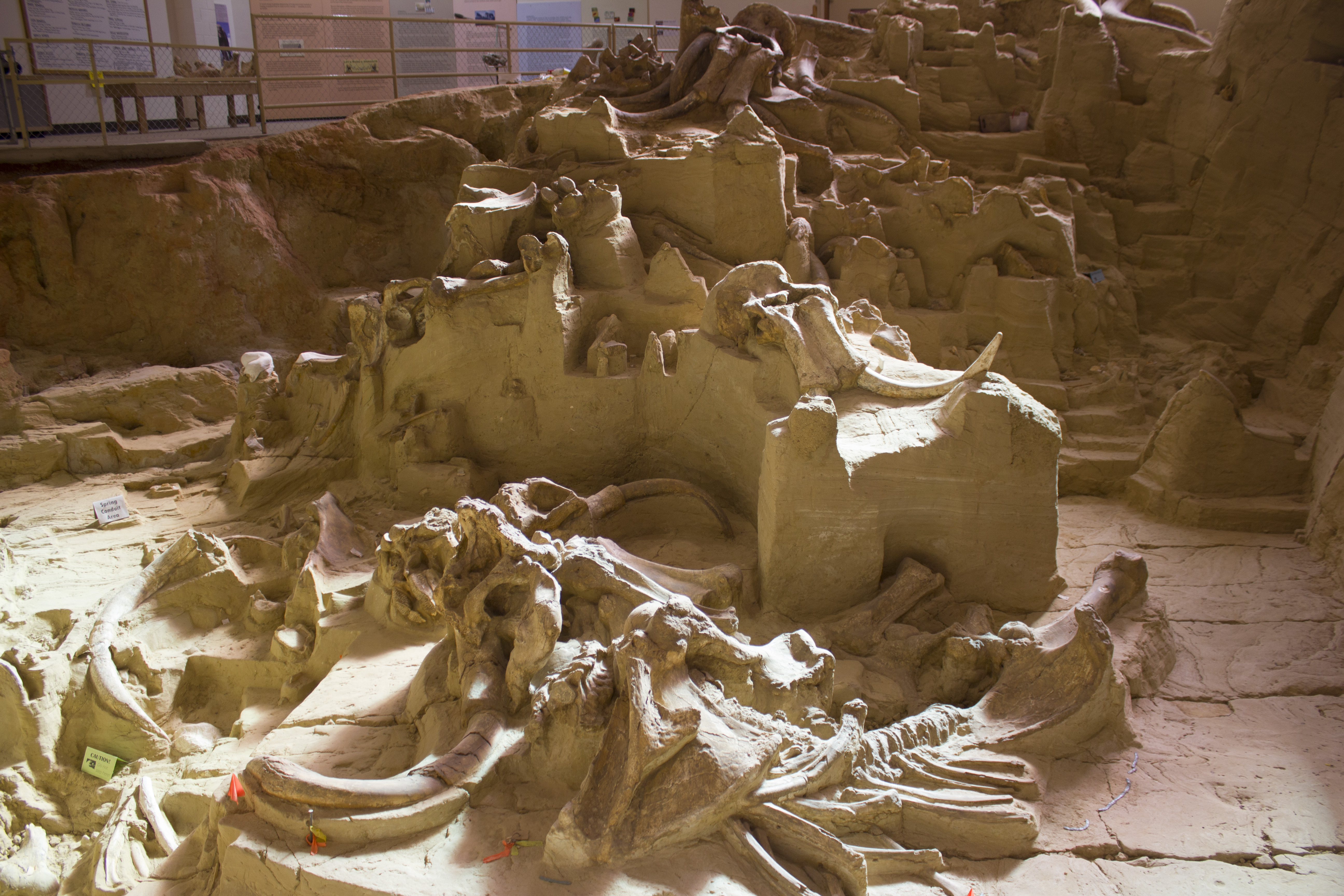 The Mammoth Site of Hot Springs, South Dakota News & Events Photo